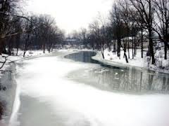 shiawassee river