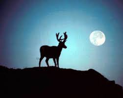 buck moon